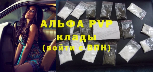 сатива Вяземский