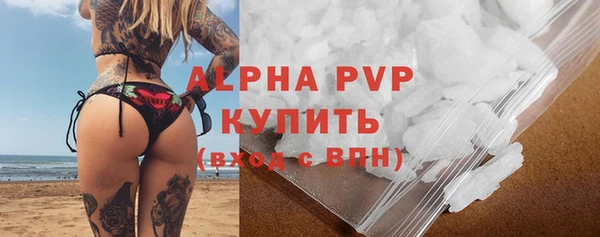 мяу мяу мука Беслан